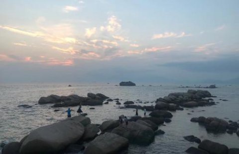 TOP1体育：新的经营模式应当立足在商业模式之上